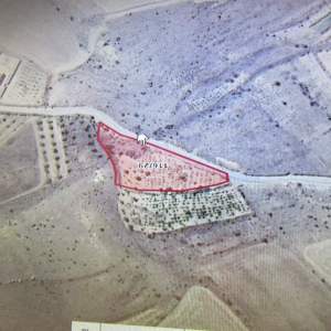 Kayseri Develi Tonbak Mahallesi Satılık Bağ 6