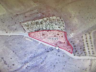 Kayseri Develi Tonbak Mahallesi Satılık Bağ 1