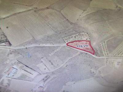 Kayseri Develi Tonbak Mahallesi Satılık Bağ 2