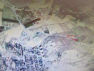 Kayseri Develi Tonbak Mahallesi Satılık Bağ 4