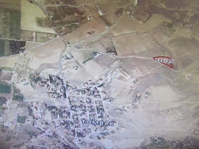 Kayseri Develi Tonbak Mahallesi Satılık Bağ 3