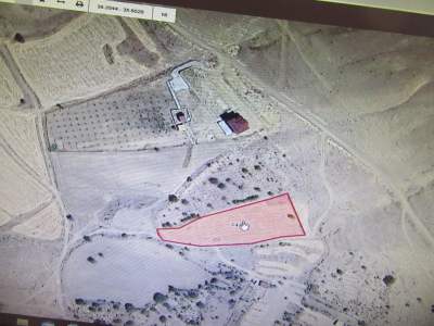 Develi Ydek Mah Satlık Bag 2