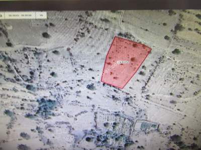 Develi Yukarıdeveli Yedek Mah Satlık Bag 1