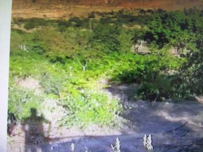 Develi Yedek Mah Satlık Bağ Evi 5