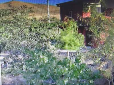 Develi Yedek Mah Satlık Bağ Evi 6