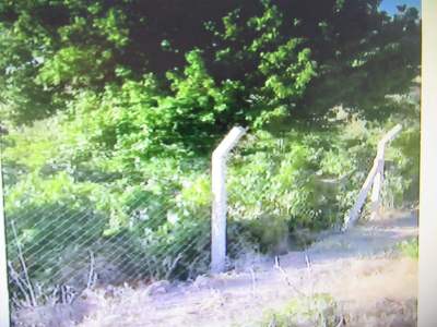 Develi Yedek Mah Satlık Bağ Evi 8