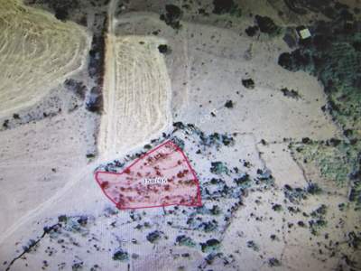 Develi Yedek Mah Satlık Bag 14