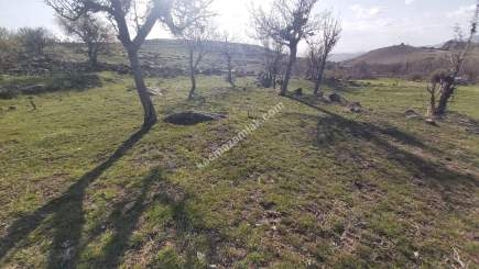 Develi Yedek Mah Satlık Bag 9