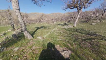 Develi Yedek Mah Satlık Bag 8