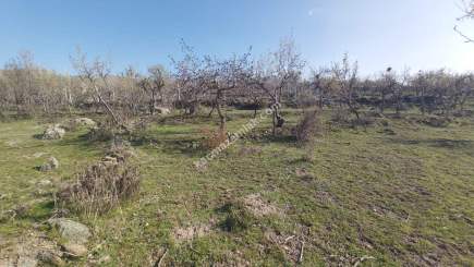 Develi Yedek Mah Satlık Bag 17