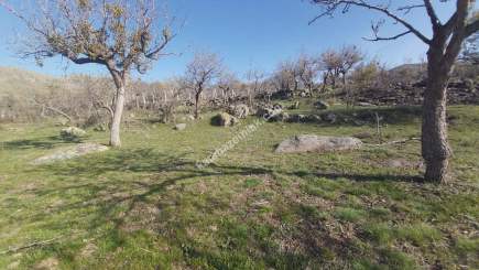 Develi Yedek Mah Satlık Bag 11