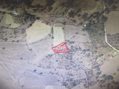 Develi Yedek Mah Satlık Bag 12