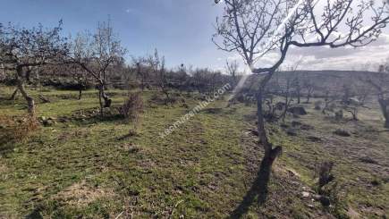 Develi Yedek Mah Satlık Bag 2