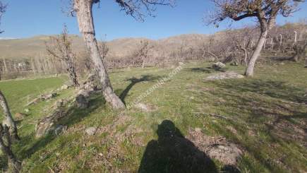 Develi Yedek Mah Satlık Bag 6