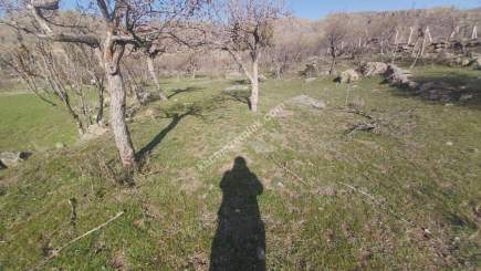 Develi Yedek Mah Satlık Bag 19