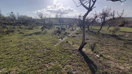 Develi Yedek Mah Satlık Bag 18