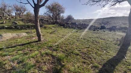 Develi Yedek Mah Satlık Bag 16