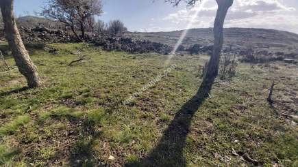 Develi Yedek Mah Satlık Bag 7