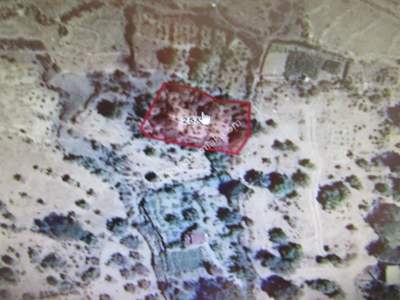 Kayseri Develi Yedek Mah Satlık Bağ 12