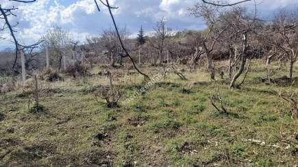 Kayseri Develi Yedek Mah Satlık Bağ 1