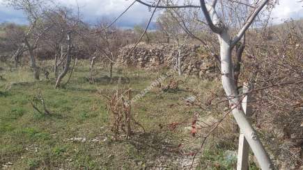 Kayseri Develi Yedek Mah Satlık Bağ 6