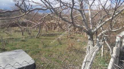 Kayseri Develi Yedek Mah Satlık Bağ 5