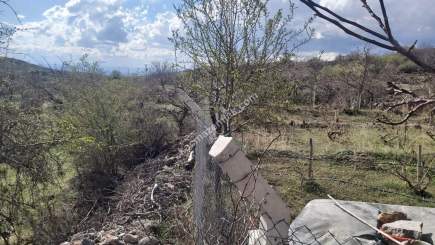 Kayseri Develi Yedek Mah Satlık Bağ 8