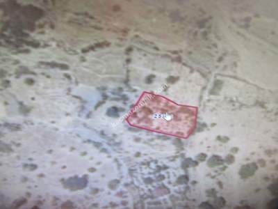 Kayseri Develi Yedek Mah Satlık Bağ 9