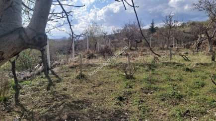 Kayseri Develi Yedek Mah Satlık Bağ 2