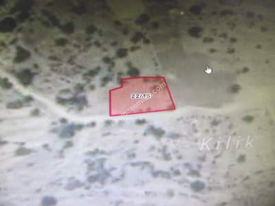 Kayseri Develi Yedek Mahallesi Satılık Bağ