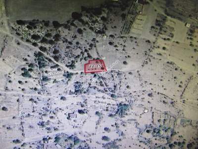 Kayseri Develi Yedek Mahallesi Satılık Bağ 2