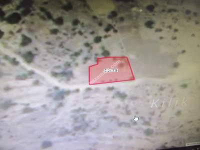 Kayseri Develi Yedek Mahallesi Satılık Bağ 4