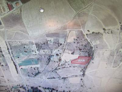 Develi Zile Mah. Bağ 2