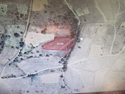 Develi Zile Mah. Bağ 1