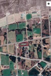 Develi Zile Mah. Bağ 1