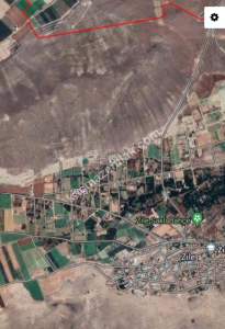 Develi Zile Mah. Bağ 3