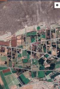 Develi Zile Mah. Bağ 4