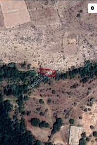 Develi Zile Mah. Bağ 1