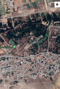 Develi Zile Mah. Bağ 1