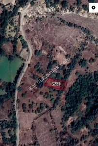 Develi Zile Mah. Bağ 3