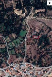 Develi Zile Mah. Bağ 2