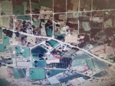 Develi Zile Mah Satlık Bag 1