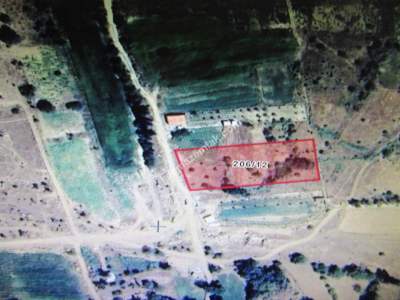 Kayseri Develi Zile Mah Satlık Bağ Ve Bahçe 1