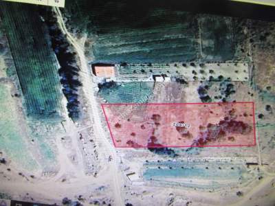 Kayseri Develi Zile Mah Satlık Bağ Ve Bahçe 4