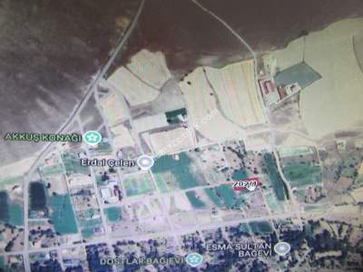 Kaysri Develi Zile Mah Satlık Bağ 3