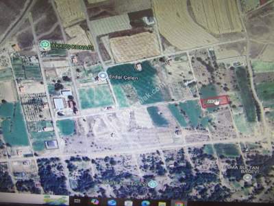 Kaysri Develi Zile Mah Satlık Bağ 4