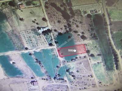 Kaysri Develi Zile Mah Satlık Bağ 2