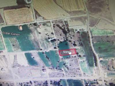 Kaysri Develi Zile Mah Satlık Bağ 1