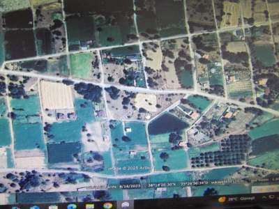 Kayseri Develi Zile Mah Satlık Bağ 4