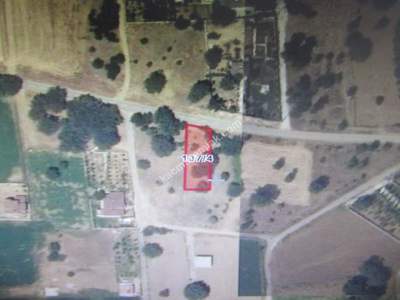 Kayseri Develi Zile Mah Satlık Bağ 1